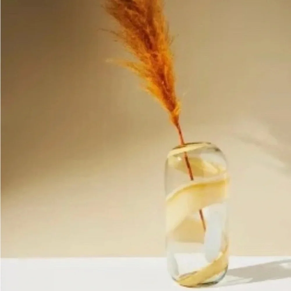 Anthropologie Rounded Glass Vase